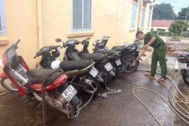 Mạnh tay xử lý các đối tượng càn quấy trên tỉnh lộ 670B