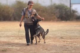 U60 đam mê huấn luyện chó thể thao ở Gia Lai