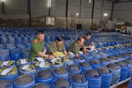 Bắt 4 đối tượng làm giá đỗ ngâm hóa chất cấm bán cho người dân