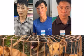 Công an xã Mang Yang bắt giữ 3 đối tượng dùng súng bắn điện để trộm chó