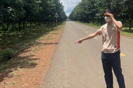 Chơi tiền ảo thua lỗ, báo tin giả bị cướp 31 triệu đồng