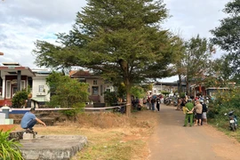 Phát hiện thi thể bị thiêu rụi ở Nghĩa trang Pleiku 