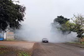 Ngăn chặn lò sấy cà phê gây ô nhiễm môi trường