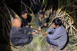 Phát hiện nhóm đối tượng tụ tập "đập đá" trong rẫy mía 
