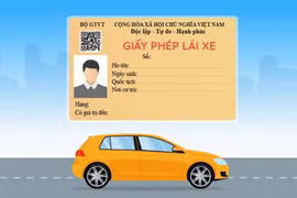 Từ 1-1-2025: giấy phép lái xe ô tô quá hạn 1 ngày phải sát hạch lại lý thuyết