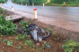 2 bé gái tử vong nghi do tai nạn giao thông