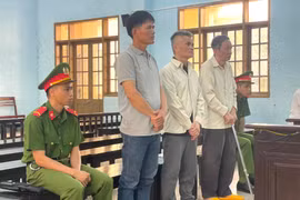 Chủ tịch công ty trồng rừng hầu tòa vì... phá rừng