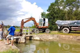 Gia Lai tăng cường công tác phòng chống dịch bệnh động vật