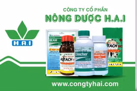 Không công bố thông tin, Nông dược H.A.I bị phạt 92,5 triệu đồng