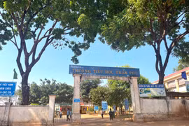 Đức Cơ: Xem xét trách nhiệm hiệu trưởng buộc thôi việc nhân viên sai quy định 