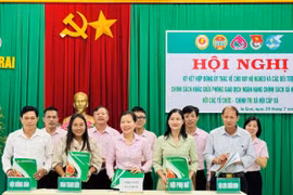 Các đại biểu tham dự hội nghị. Ảnh Thanh Nhật 