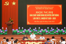 Đak Đoa tập trung lãnh đạo nhiệm vụ trọng tâm quý II-2025