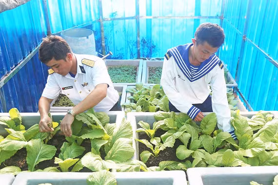 Đảo xanh Nam Yết