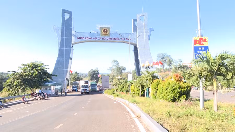 hinh-1-hang-hoa-cua-doanh-nghiep-qua-cua-khau-quoc-te-le-thanh-huu-lanh.jpg