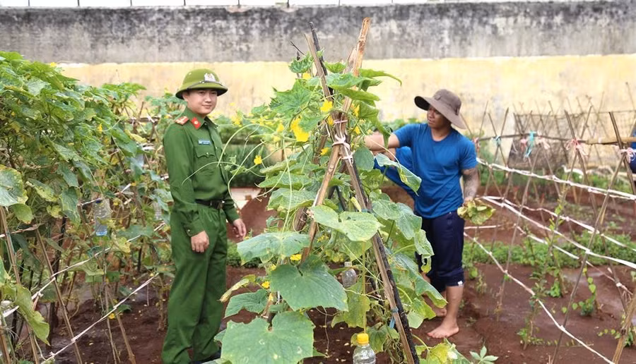 glo-khong-ma-tuy-4.jpg