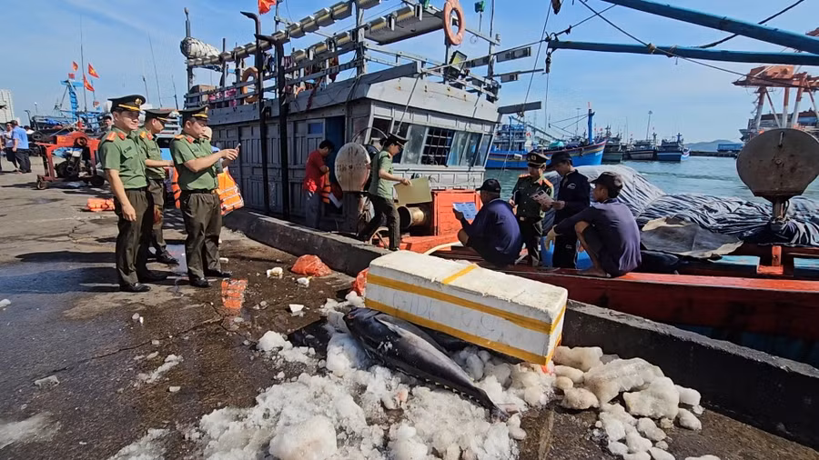 glo-iuu-4.jpg