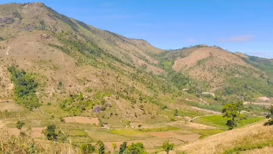 chu-dang-ya-mua-kho-lang-dang-den-hoang-so.jpg