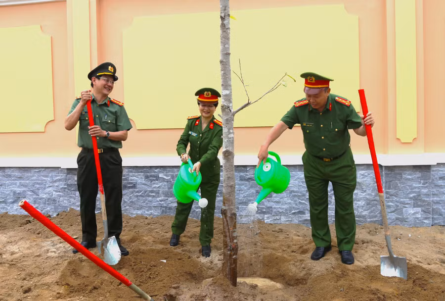 glo-cong-an-trong-cay-6.jpg