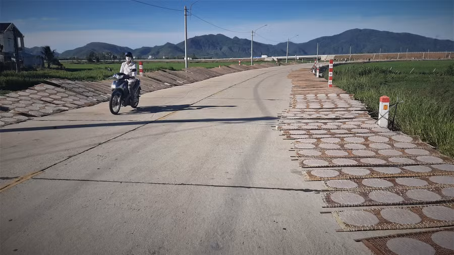 glo-phoi-banh-trang.jpg