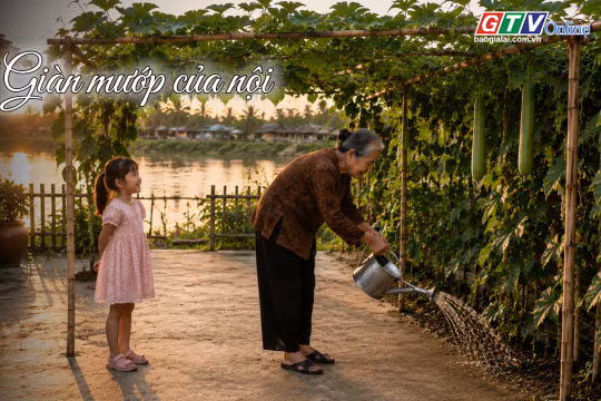 Ngăn ký ức: Giàn mướp của nội