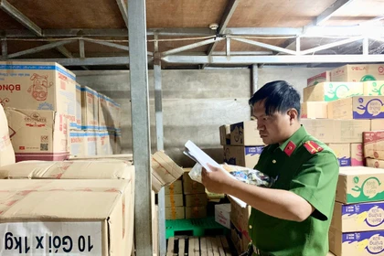 Gia Lai triển khai công tác an toàn thực phẩm dịp Tết Nguyên đán và mùa Lễ hội Xuân 2026