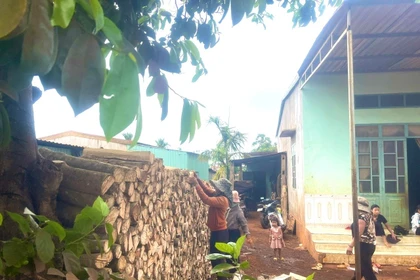 Nét đẹp trong phong tục trữ củi của người Jrai