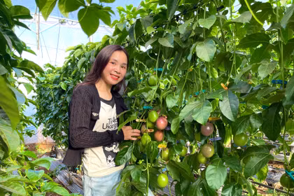 Phát triển công nghiệp sinh học thành ngành kinh tế - kỹ thuật quan trọng