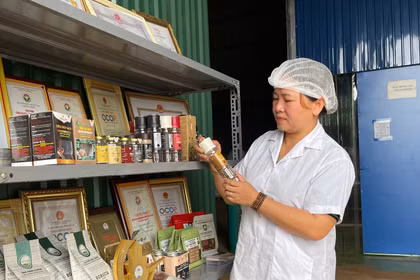 Gia Lai có 2 đơn vị đạt giải thưởng Ngôi sao Hợp tác xã và 4 sản phẩm đạt giải Mai An Tiêm