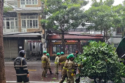 Công nhân môi trường nỗ lực thu gom cây, cỏ, rác sau bão số 13