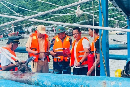 Chống khai thác IUU: Kiểm soát chặt, giám sát tối đa