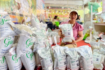 Gạo chất lượng cao của các hợp tác xã khu vực phía Tây tỉnh hướng đến mục tiêu xây dựng thương hiệu đặc trưng và mở rộng thị trường.