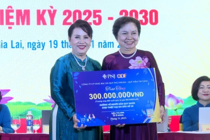 Bà Đồng Thị Ánh được bầu làm Chủ tịch Hội Nữ Doanh nhân tỉnh Gia Lai 