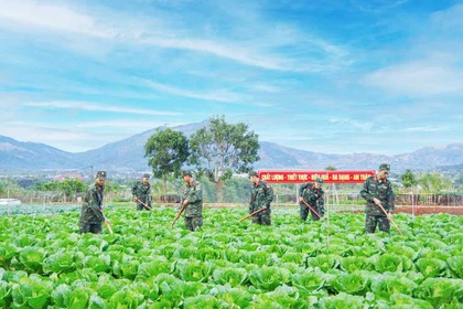 Tăng gia sản xuất, bảo đảm nguồn thực phẩm sạch cho bộ đội