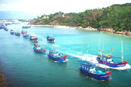 Tái cấu trúc ngành thủy sản theo hướng hiện đại, bền vững