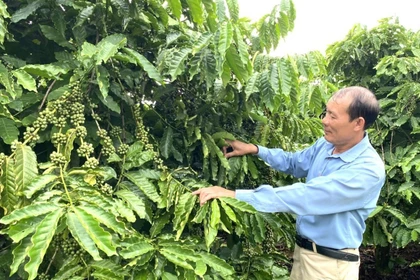 Tiếp tục kéo dài thời hạn miễn thuế sử dụng đất nông nghiệp: Tạo dư địa phát triển “tam nông”