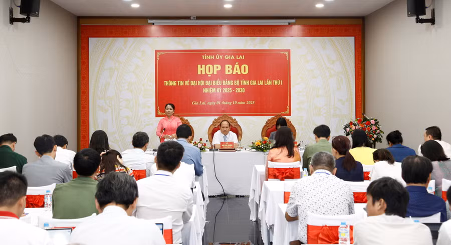 hop-bao-dai-hoi-dai-bieu-dang-bo-tinh-gia-lai-lan-thu-i-nhiem-ky-2025-2030.jpg
