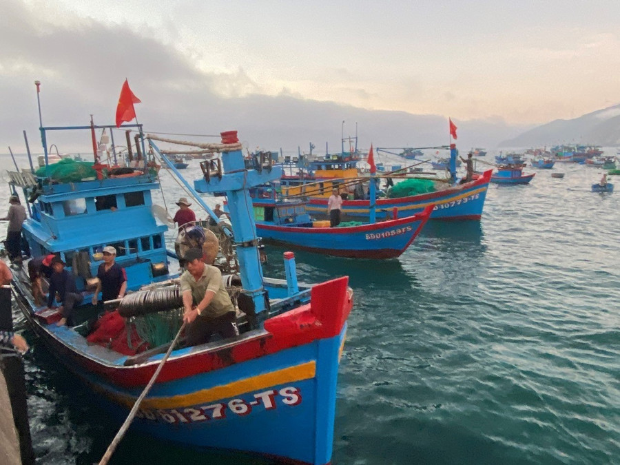Tàu cá được nhận hỗ trợ phải chấp hành nghiêm các quy định chống khai thác IUU (ảnh minh họa). Ảnh: N.N gia-lai-ho-tro-chu-tau-ca-khong-du-dieu-kien-hoat-dong.jpg