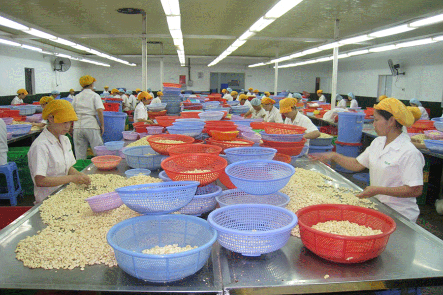 Ảnh minh họa Ảnh minh họa