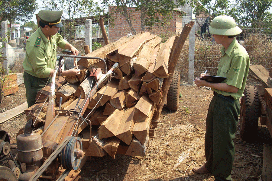 Lực lượng chức năng lập hồ sơ tang vật vi phạm. Ảnh: T.N Lực lượng chức năng kiểm lập hồ sơ tang vật vi phạm. Ảnh: T.N