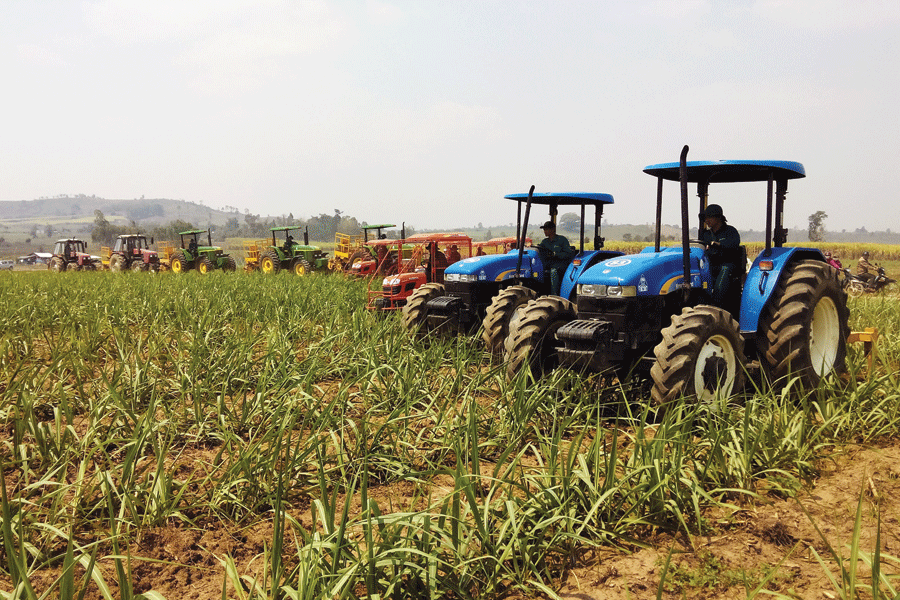 Máy làm cỏ mía trên cánh đồng mía mẫu lớn tại Đak Pơ. Ảnh: L.H Máy làm cỏ mía trên cánh đồng mía mẫu lớn tại Đak Pơ. Ảnh: L.H