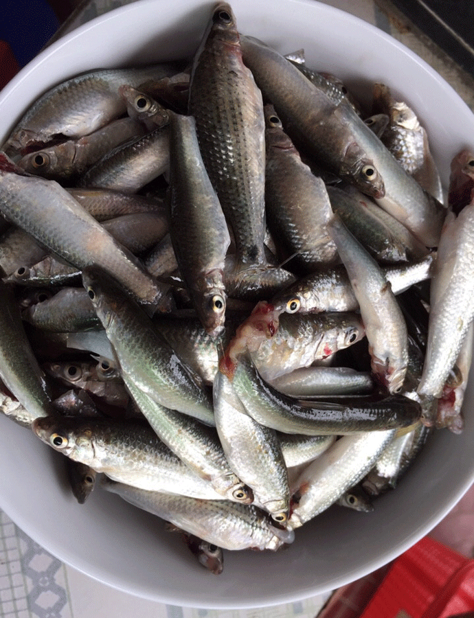 Ảnh: Minh Thi Ảnh: Minh Thi