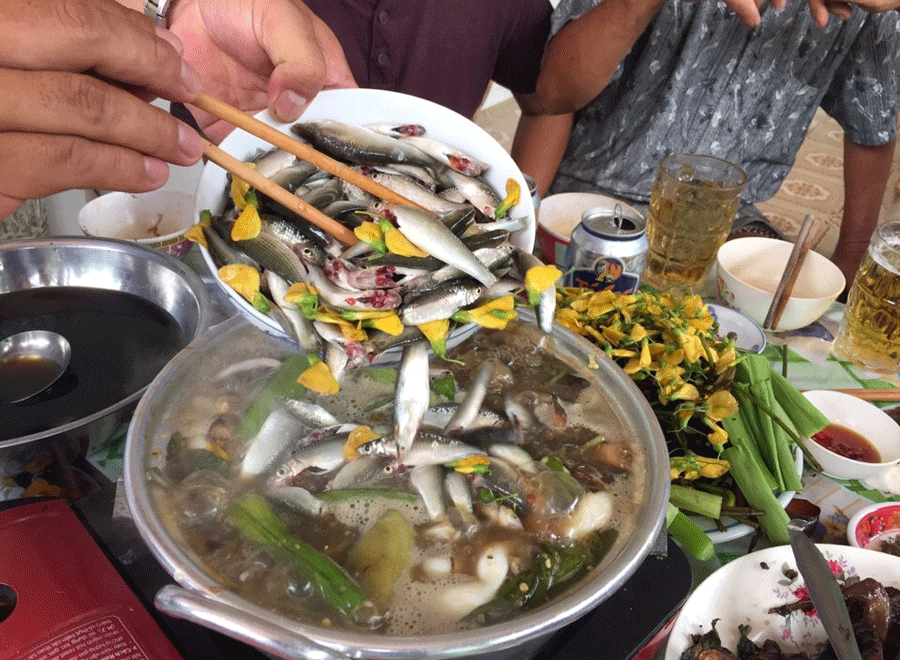 Ảnh: Minh Thi Ảnh: Minh Thi