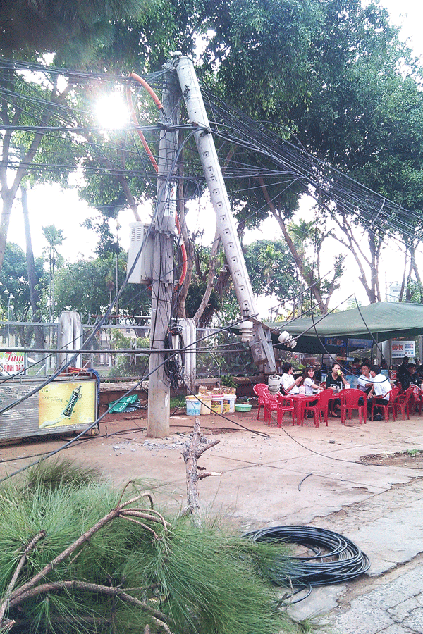 Cây thông đổ vào đường điện 22KV cạnh nhà thờ Thăng Thiên gây đứt dây và gãy hàng loạt cột điện. Ảnh: N.T Cây thông đổ vào đường điện 22KV cạnh nhà thờ Thăng Thiên gây đứt dây và gãy hàng loạt cột điện. Ảnh: N.T