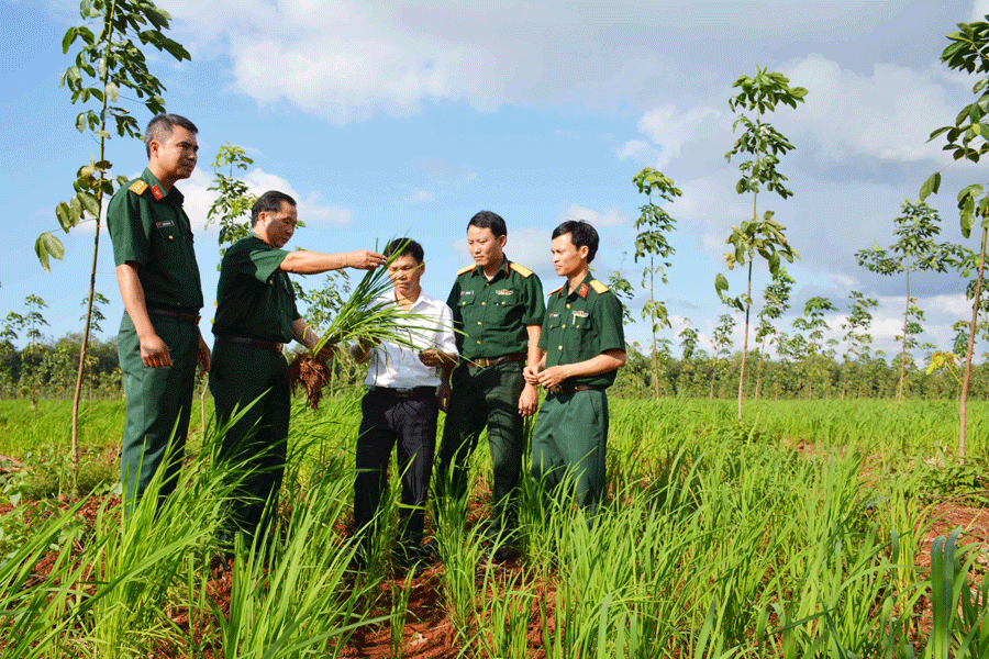 Ảnh: Lê Quang Ảnh: Lê Quang