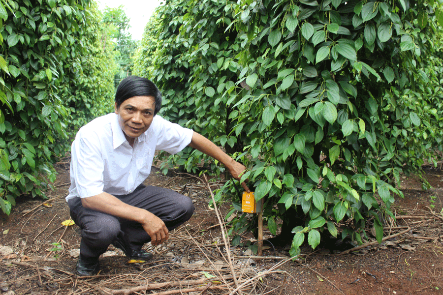 Ảnh: Nguyễn Diệp Ảnh: Nguyễn Diệp