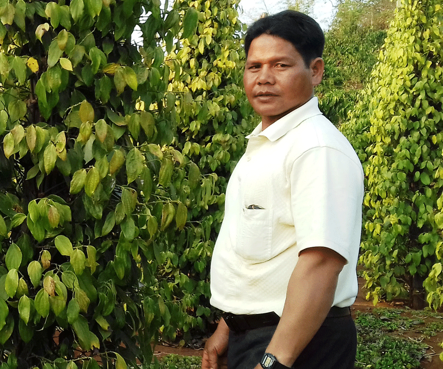 Anh A Nấp bên vườn tiêu của gia đình. Ảnh: N.N