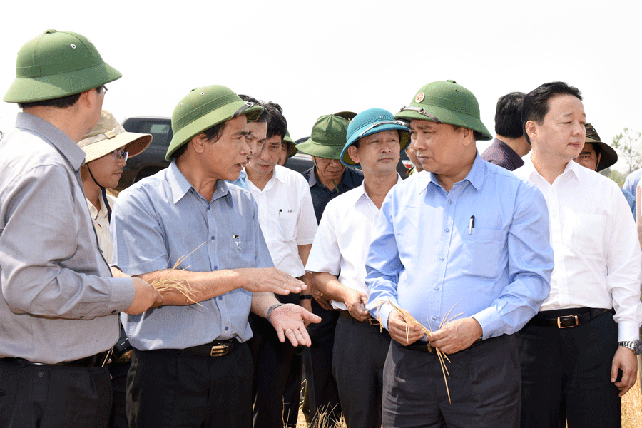 Phó Thủ tướng Nguyễn Xuân Phúc kiểm tra tình hình hạn hán tại huyện Chư Pưh, Gia Lai. Ảnh: Đ.T Phó Thủ tướng Nguyễn Xuân Phúc kiểm tra tình hình hạn hán tại huyện Chư Pưh. Ảnh: Đ.T