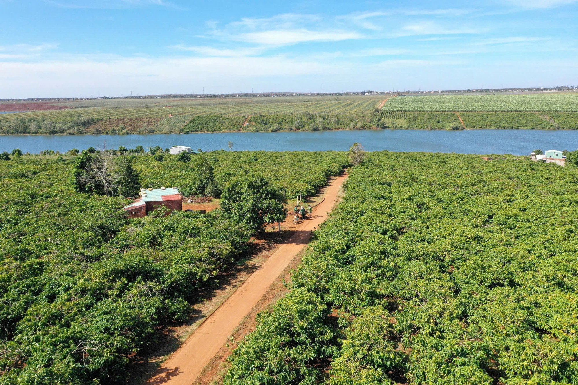 Nhiều hộ dân người đồng bào dân tộc thiểu số ở Tây Nguyên phát triển kinh tế nhờ tận dụng được lợi thế của từng địa phương. Ảnh: Quang Tấn