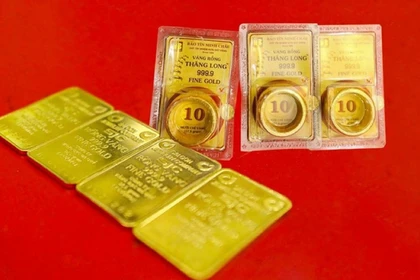 Giá vàng trong nước đi ngang trong ngày 24-11