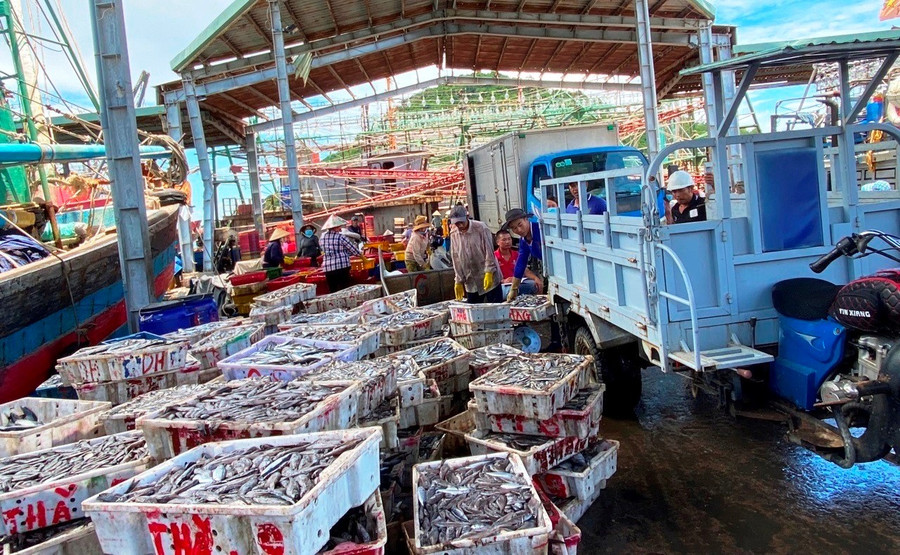 Ngư dân bán sản phẩm tại cảng cá Đề Gi sau những ngày vươn khơi bám biển. Ảnh: Nguyễn Hân 1-1.jpg